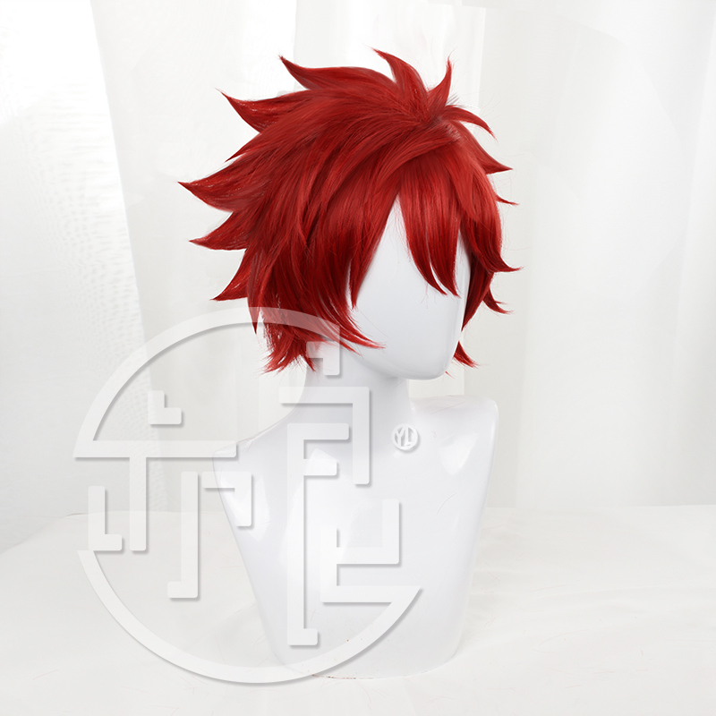 Anime SK8 the Infinity Reki Co - Anime Cosplay Red Hair recension och pris