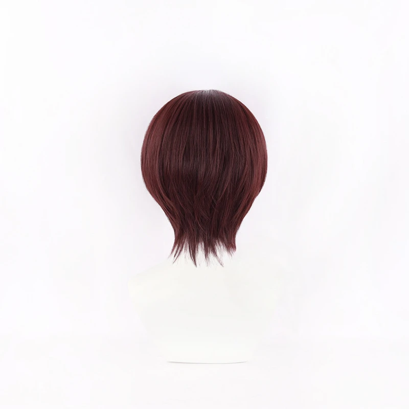 Anime WIND BREAKER Hayato Suo  - Anime Cosplay Red Hair recension och pris