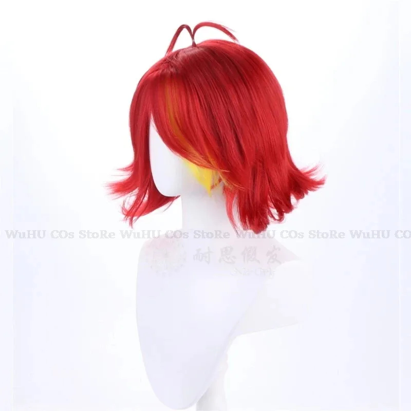 2025 hasbin Cos Niffty Wig Ani - Anime Cosplay Red Hair recension och pris