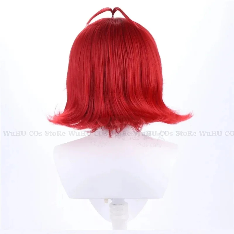 2025 hasbin Cos Niffty Wig Ani - Anime Cosplay Red Hair recension och pris