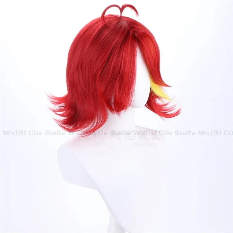 2025 hasbin Cos Niffty Wig Ani - Anime Cosplay Red Hair recension och pris